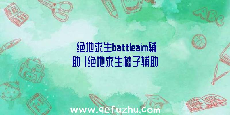 「绝地求生battleaim辅助」|绝地求生柚子辅助